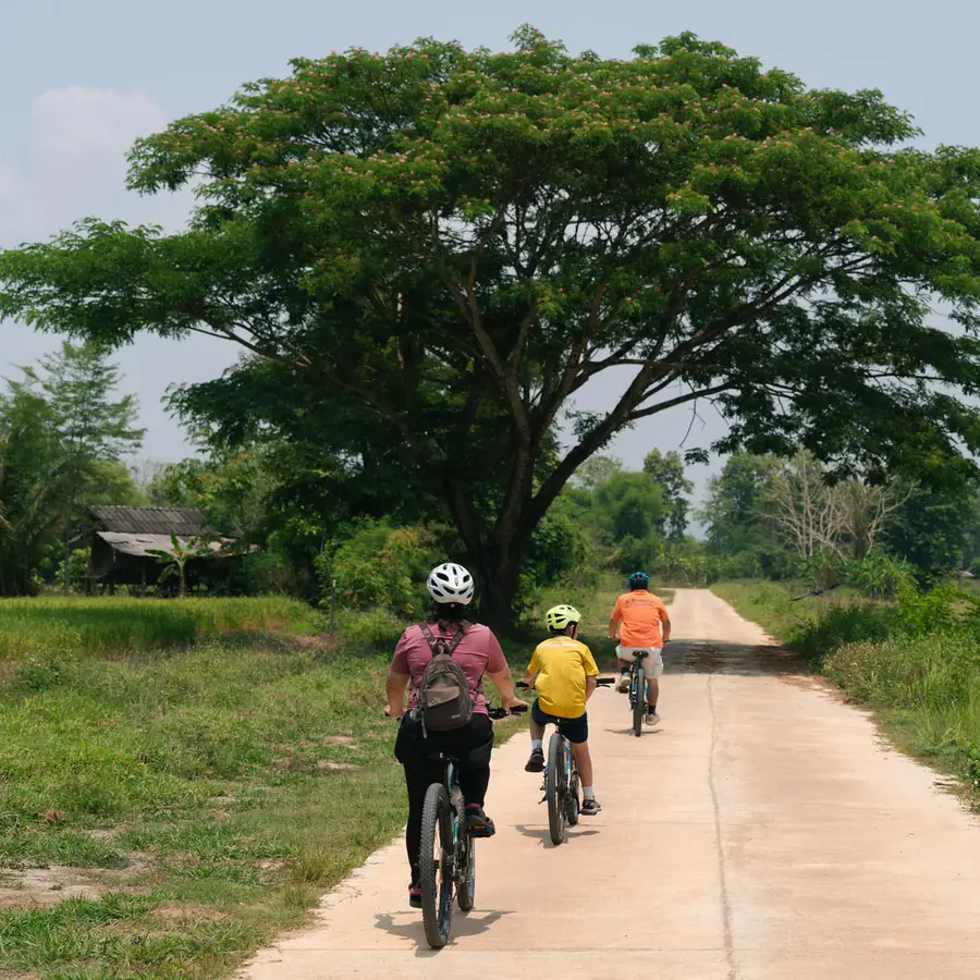 Chiang Rai bicycle tour: a day on two wheels